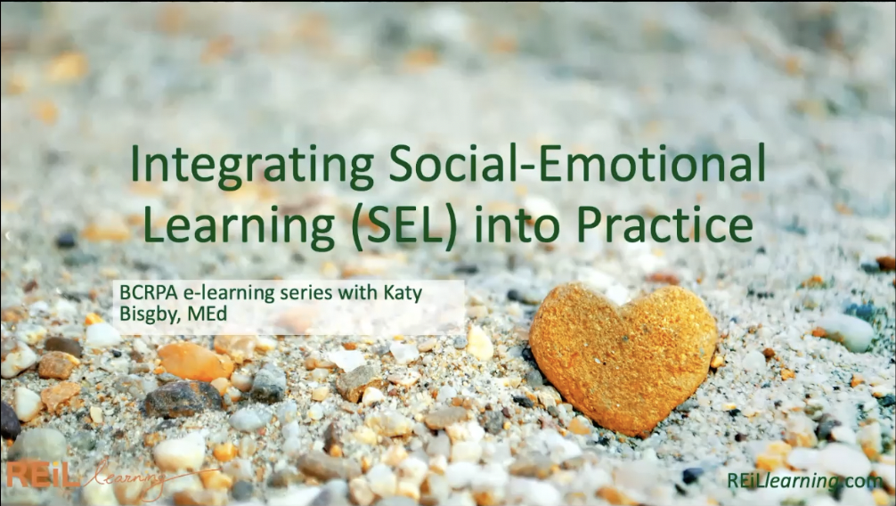 Integrating Social-Emotional Learning into Practice