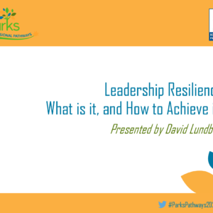 Leadership Resilience: What is it, and How to Achieve it?